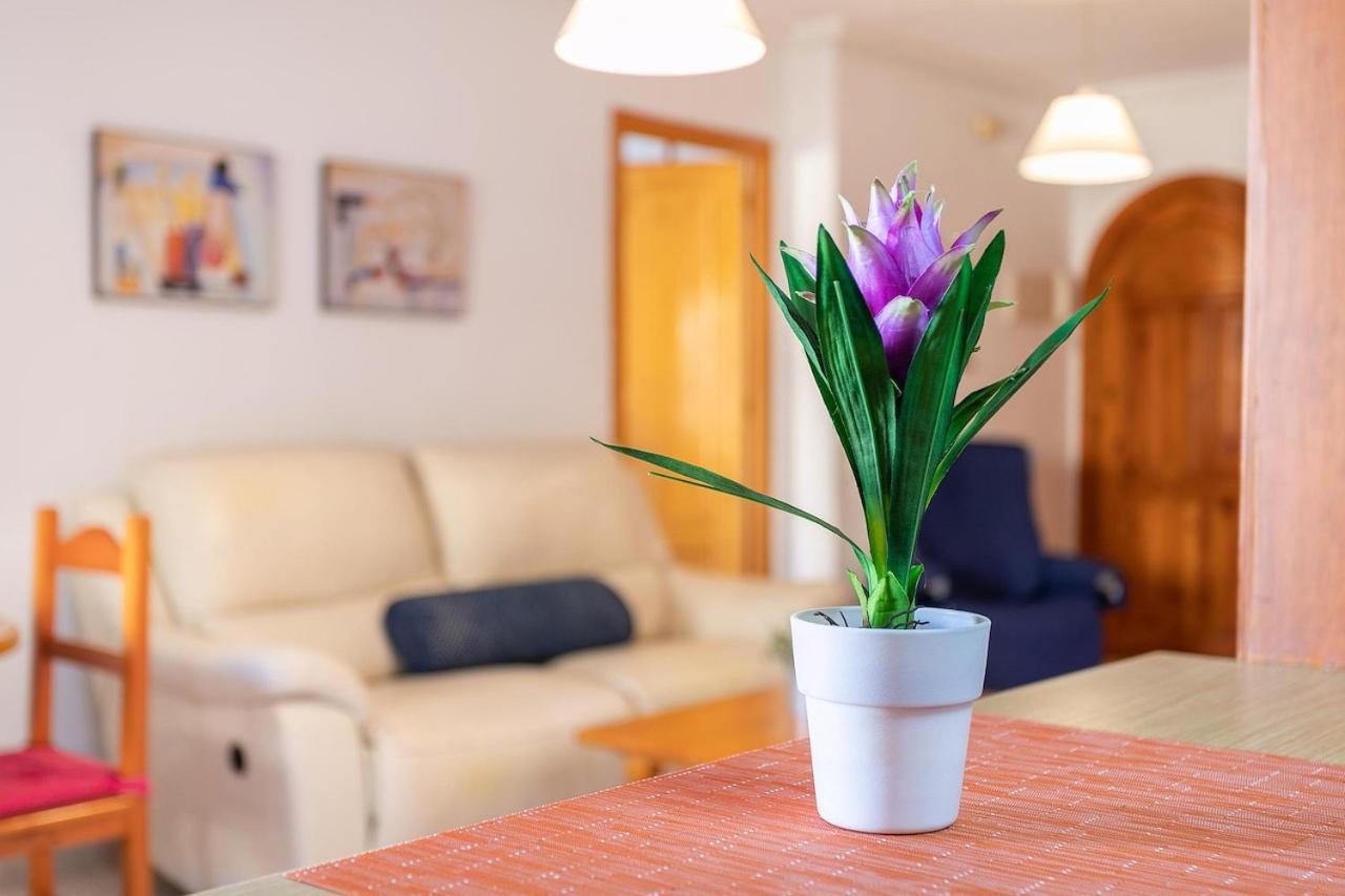 Ideal Para Verano Con Piscina E Invierno Con Cocina De Lena Torre La Mata Exterior foto